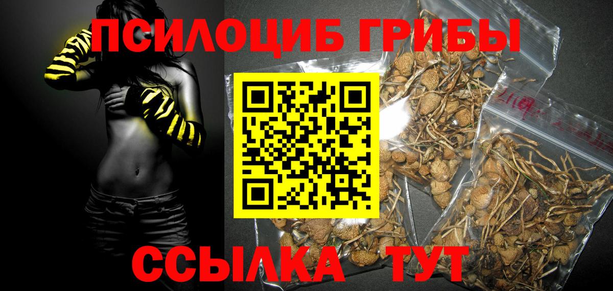 Альфа ПВП Россия