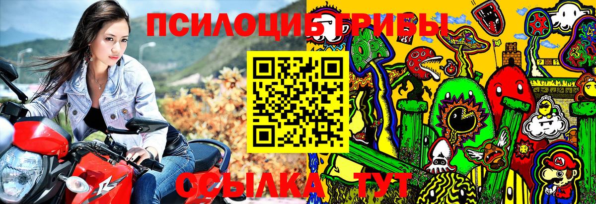 Псилоцибиновые грибы Psilocybine cubensis  Вход с VPN  Россия 